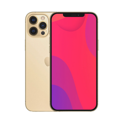 IPHONE 12 PRO MAX